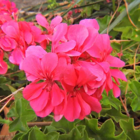 Charming House In De Tirajana With Jacuzzi * San Bartolome de Tirajana (Gran Canaria)